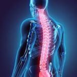 Spinal Disc Problems and Chiropractic Care
