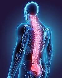 Spinal Disc Problems and Chiropractic Care