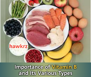 Importance of Vitamin B and Its Various Types