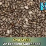 Chia Seeds: Tiny Seeds, Mighty Benefits