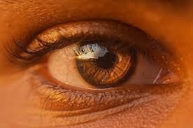 Retinitis Pigmentosa: Shedding Light on a Rare Vision Disorder