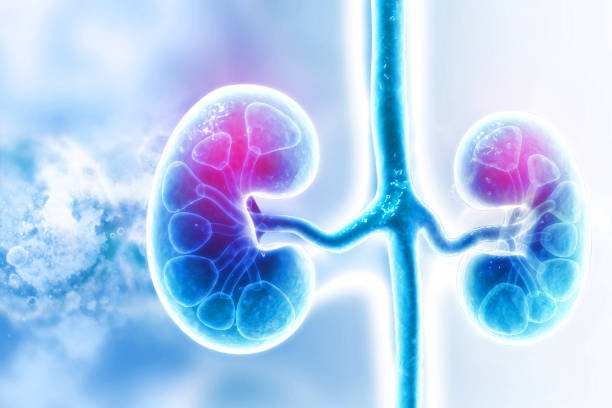 Kidney Cancer: Causes, Symptoms, Diagnosis, and Treatment