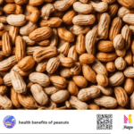 Exploring the Health Benefits of Peanuts