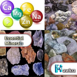 The Vital Role of Essential Minerals in Human Health