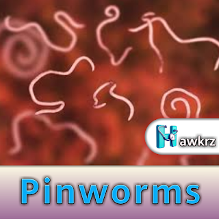 Pinworms: Symptoms, Causes, and Effective Treatment Options