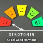 Serotonin: Optimising Mood and Well-being Through Nutrition